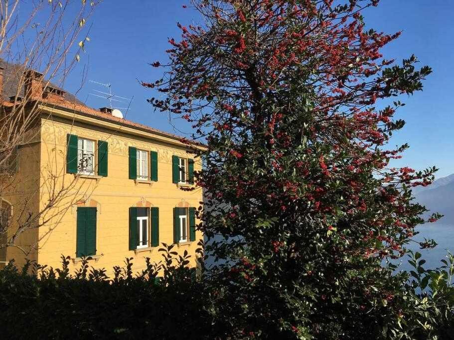 Villa Peroni Lake Como Classic With Swimming Pool Argegno Extérieur photo